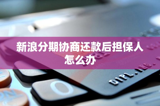 新浪分期協(xié)商還款后，信用擔(dān)保人如何應(yīng)對(duì)與解除擔(dān)保責(zé)任？